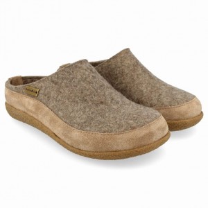 Haflinger SKANE Tresko Dame Beige | 491-IBURPK